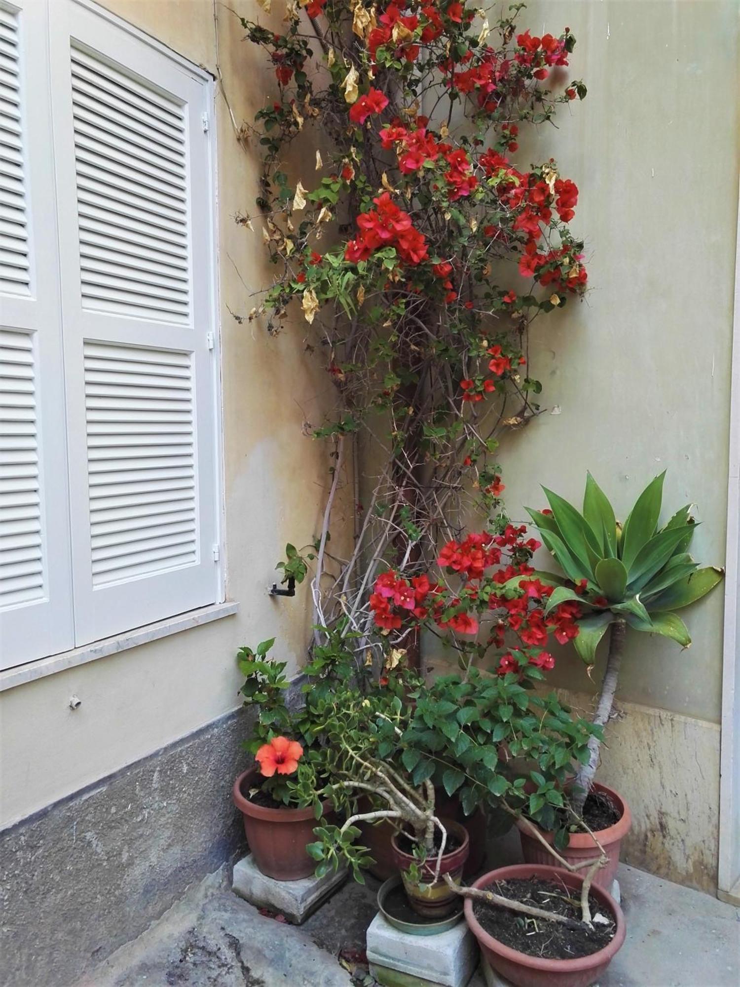 Aloha House Ortigia Villa Сиракуза Екстериор снимка